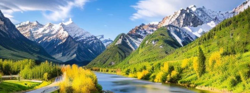 上川岛战地迷有限公司轮播图1